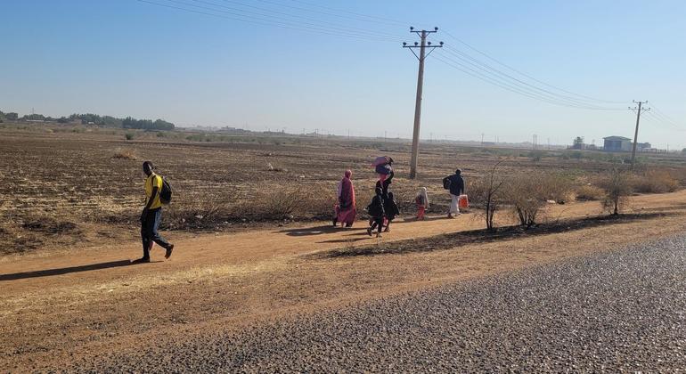 Humanitarian Crisis In Al Jazeera Impact Challenges And Relief